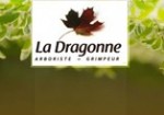 entreprise d’élagage