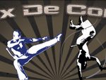 jeux de combat