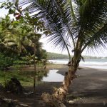Visitez la Guadeloupe à travers notre article !